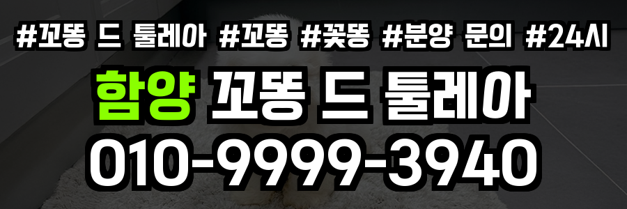 함양 꼬똥드툴레아 분양
