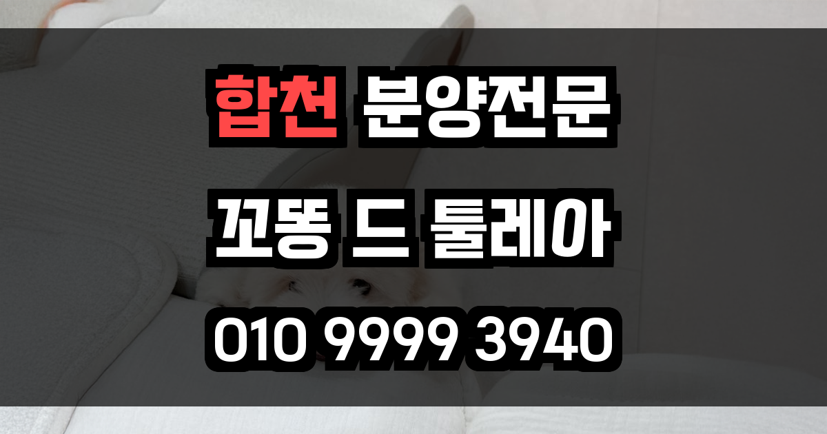 합천 꼬똥드툴레아 분양