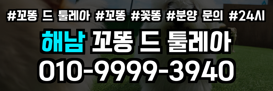 해남 꼬똥드툴레아 분양