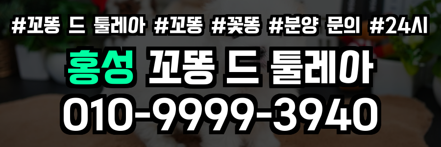 홍성 꼬똥드툴레아 분양