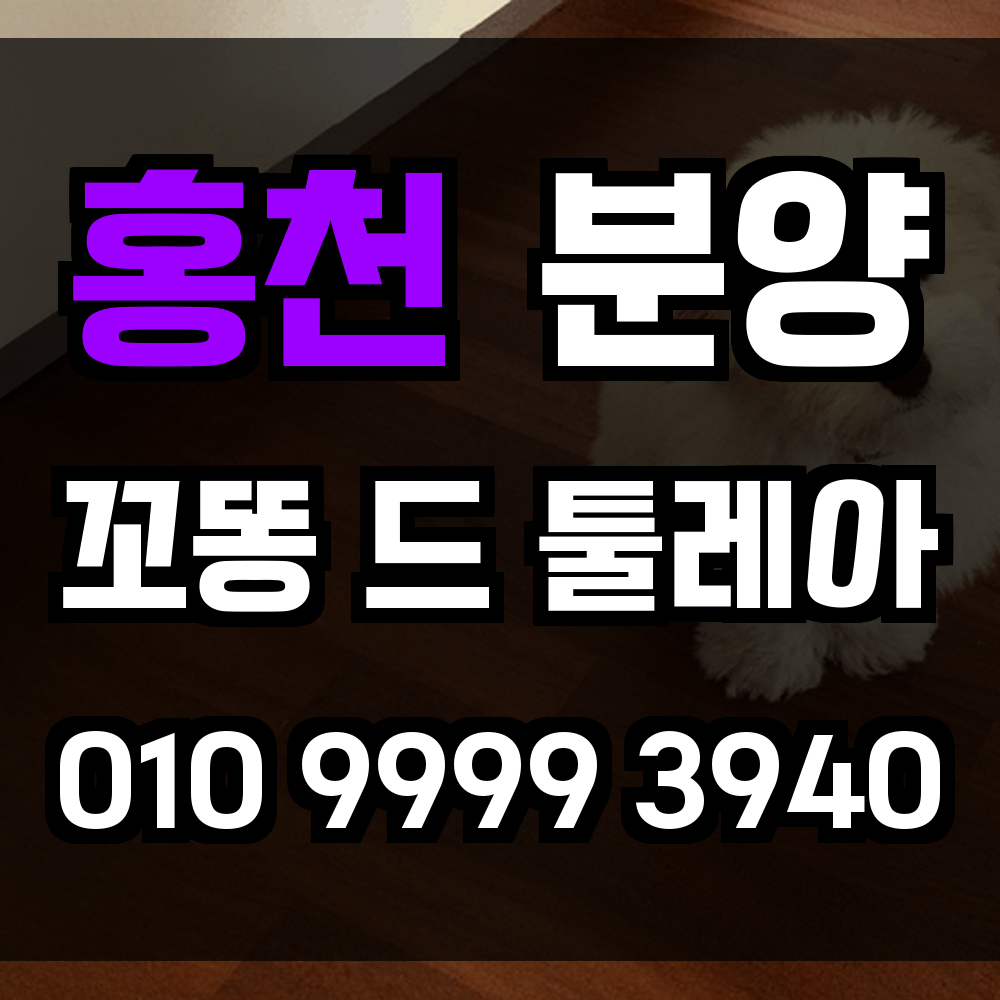 홍천 꼬동드툴레아 분양 꼬똥드툴레아 분양가 교감 능력 뛰어난 반려견을 홍천에서 만나보세요