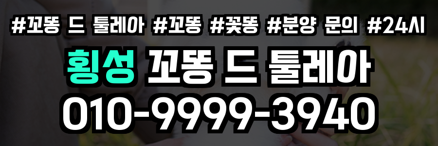 횡성 꼬똥드툴레아 분양