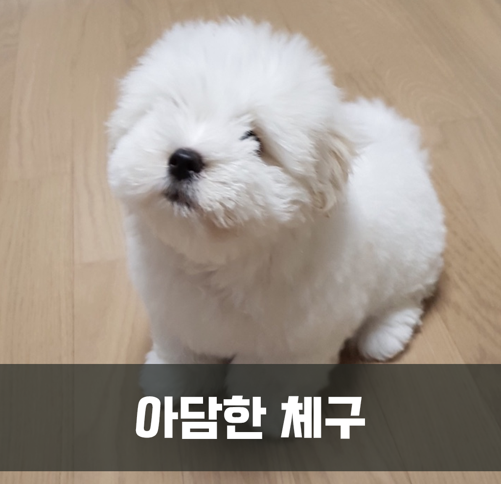 아담한 체구