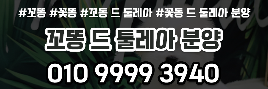 꼬동드툴레아 분양가