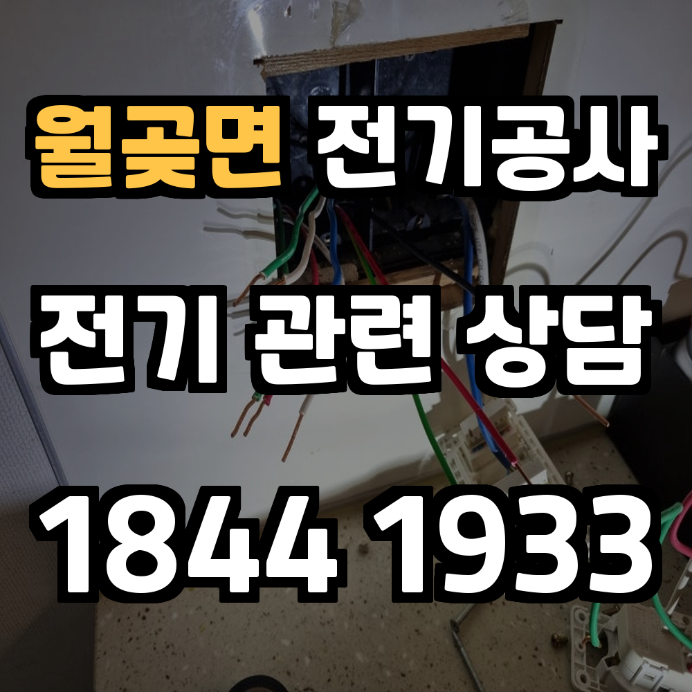 월곶면 전기공사 전력 증설로 안정성과 신뢰성 확보