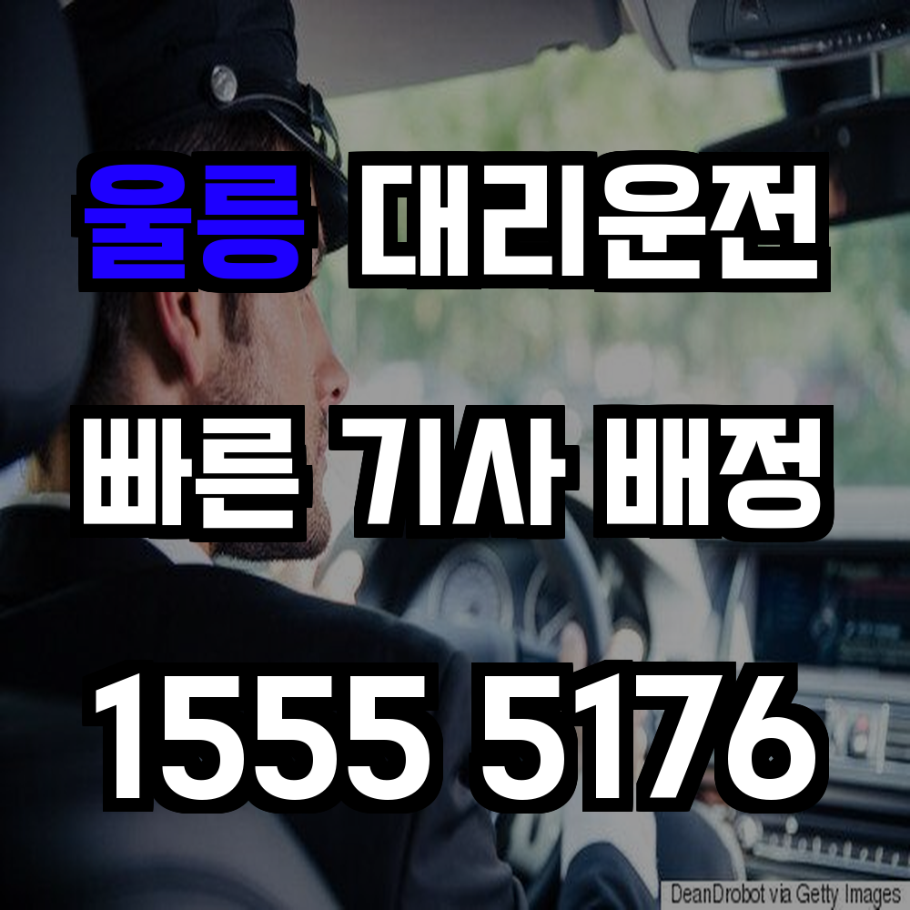 울릉 대리운전 섬 안에서도 안심할 수 있는 운전 대행
