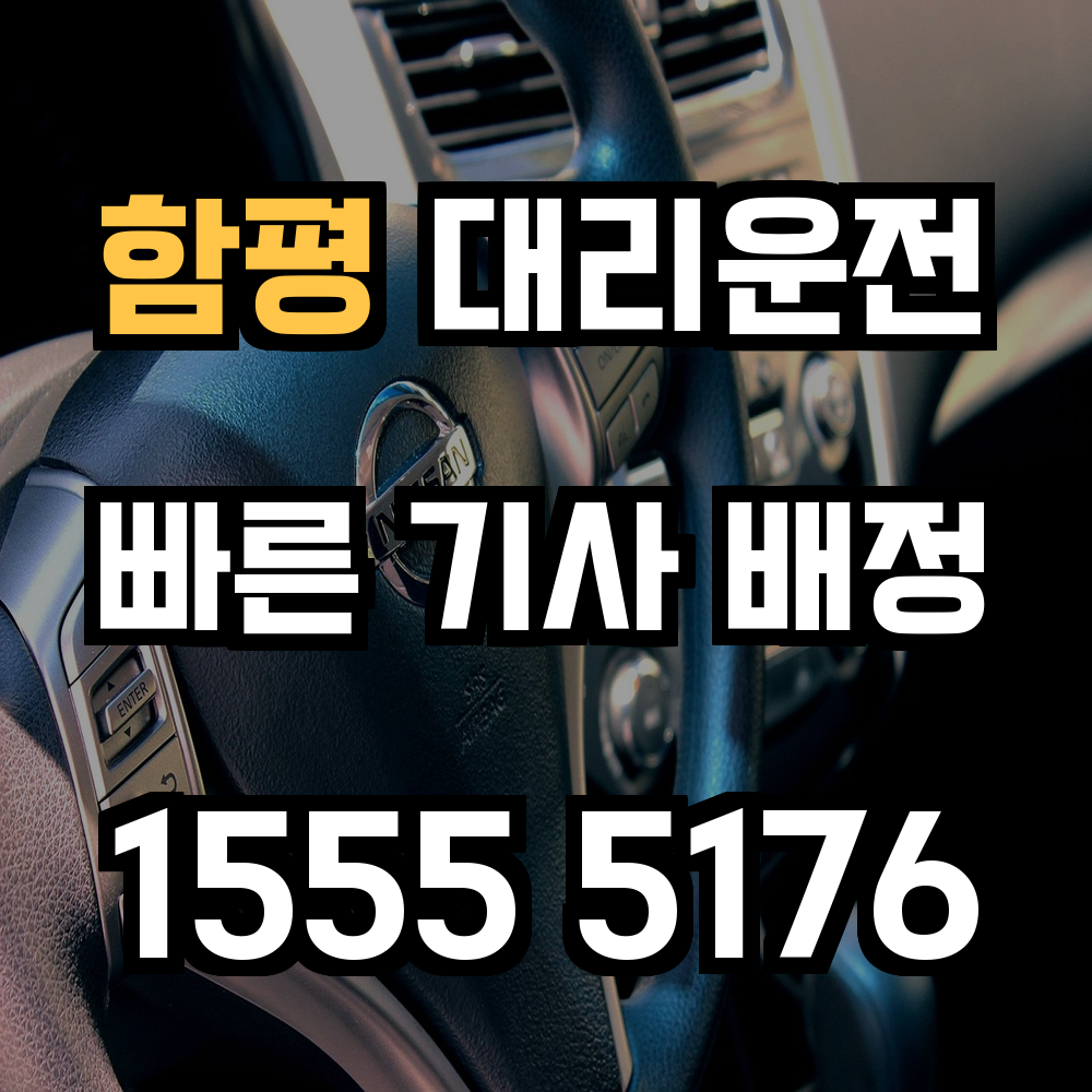 함평 대리운전 농촌 길도 걱정 없이 안전 귀가 도와드립니다
