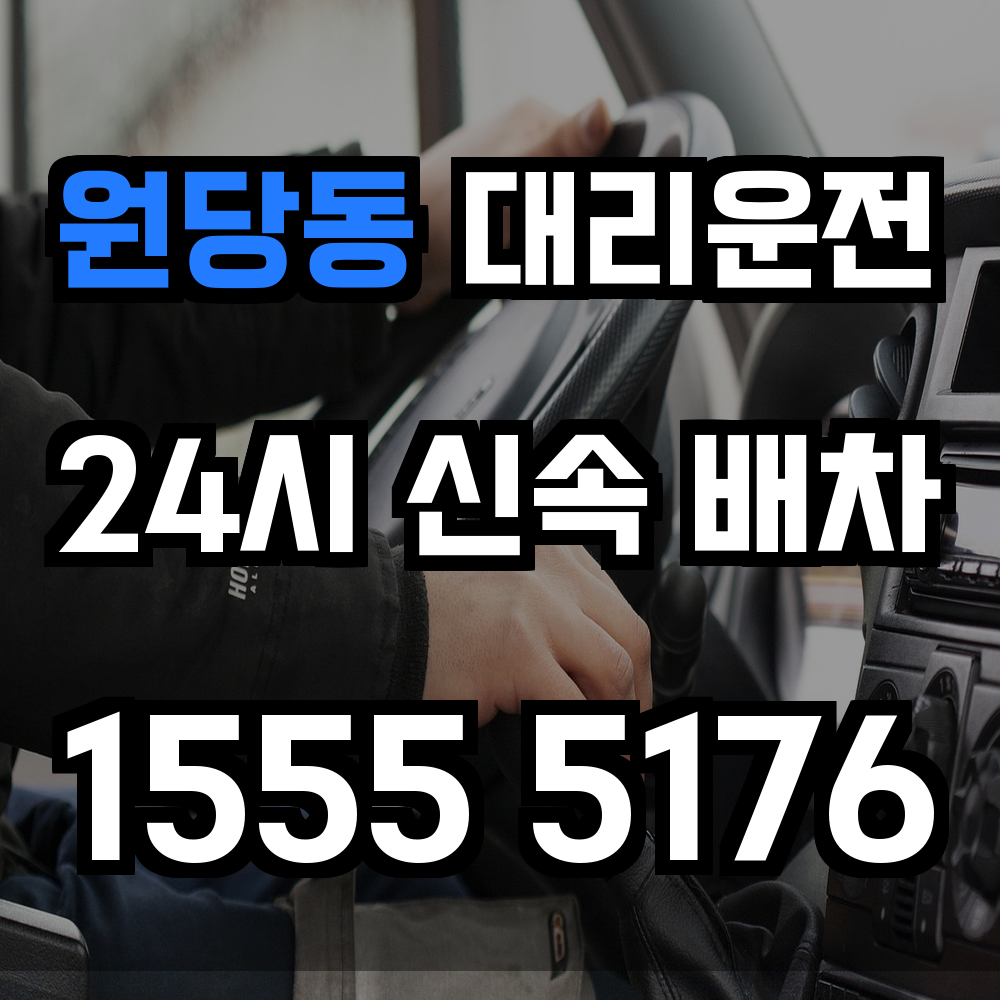 원당동 대리운전 안전한 귀가를 위한 빠른 호출