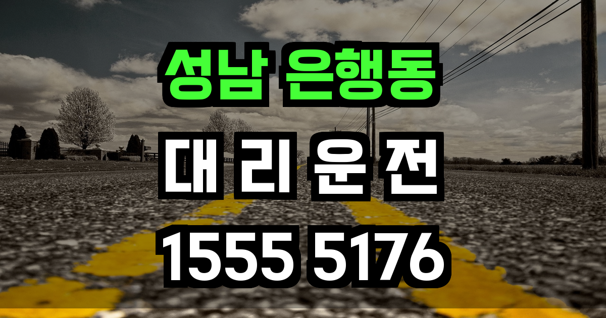 성남 은행동 대리운전