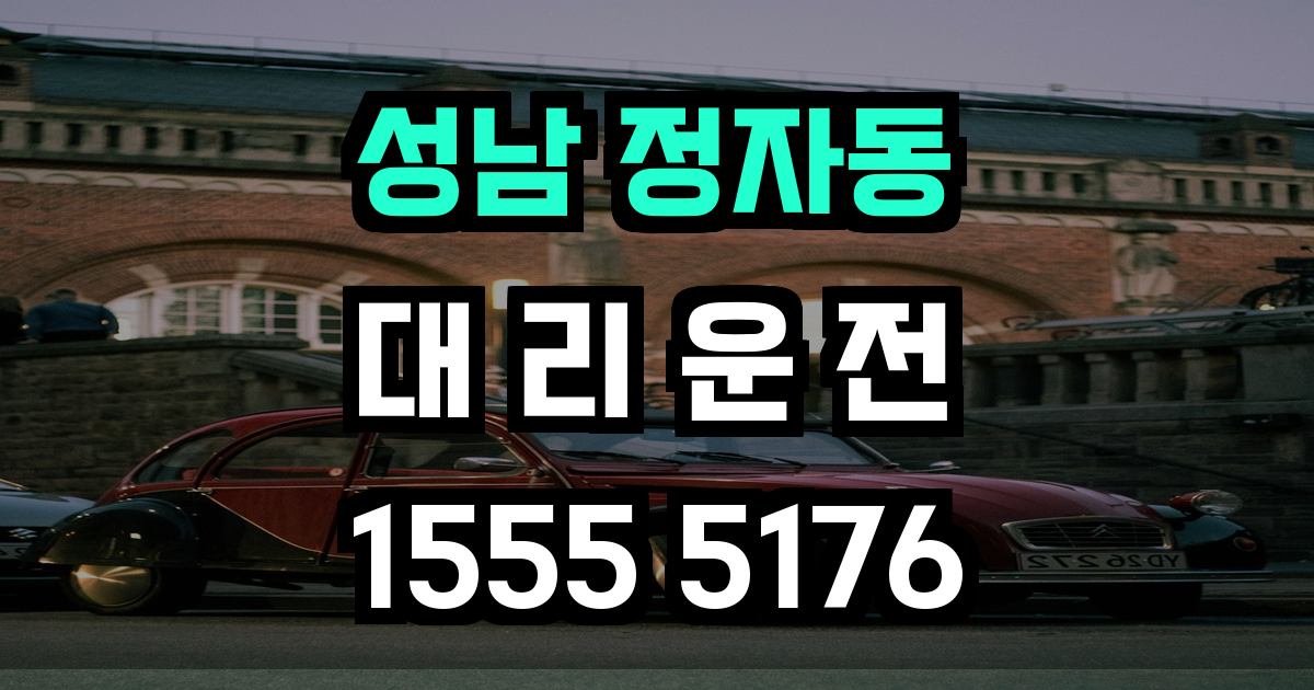 성남 정자동 대리운전