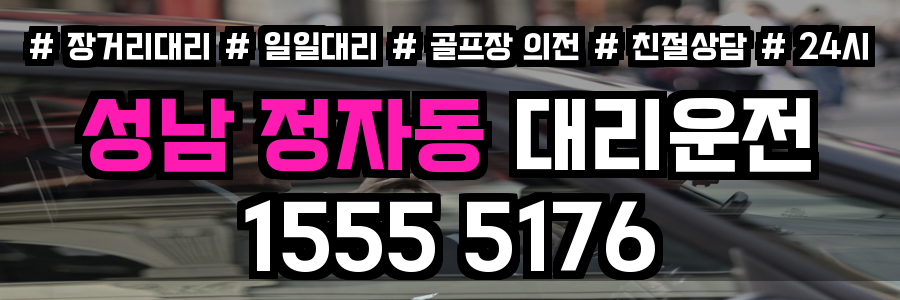 성남 정자동 대리운전
