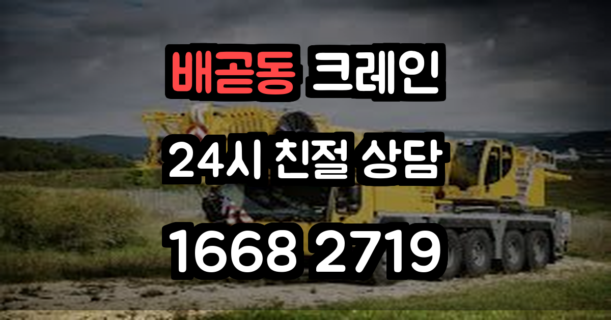 배곧동크레인