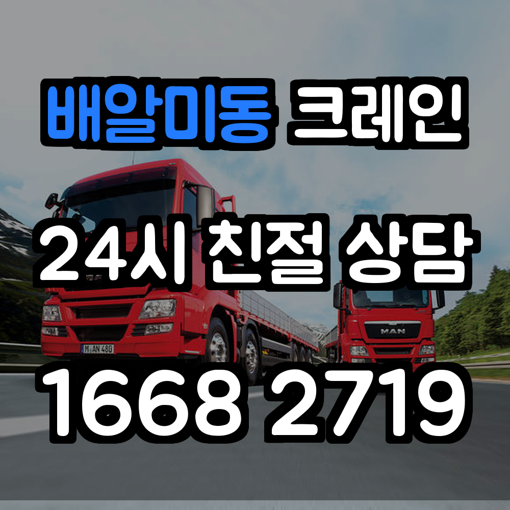 배알미동 크레인 서비스 안전하고 효율적인 현장 작업 지원