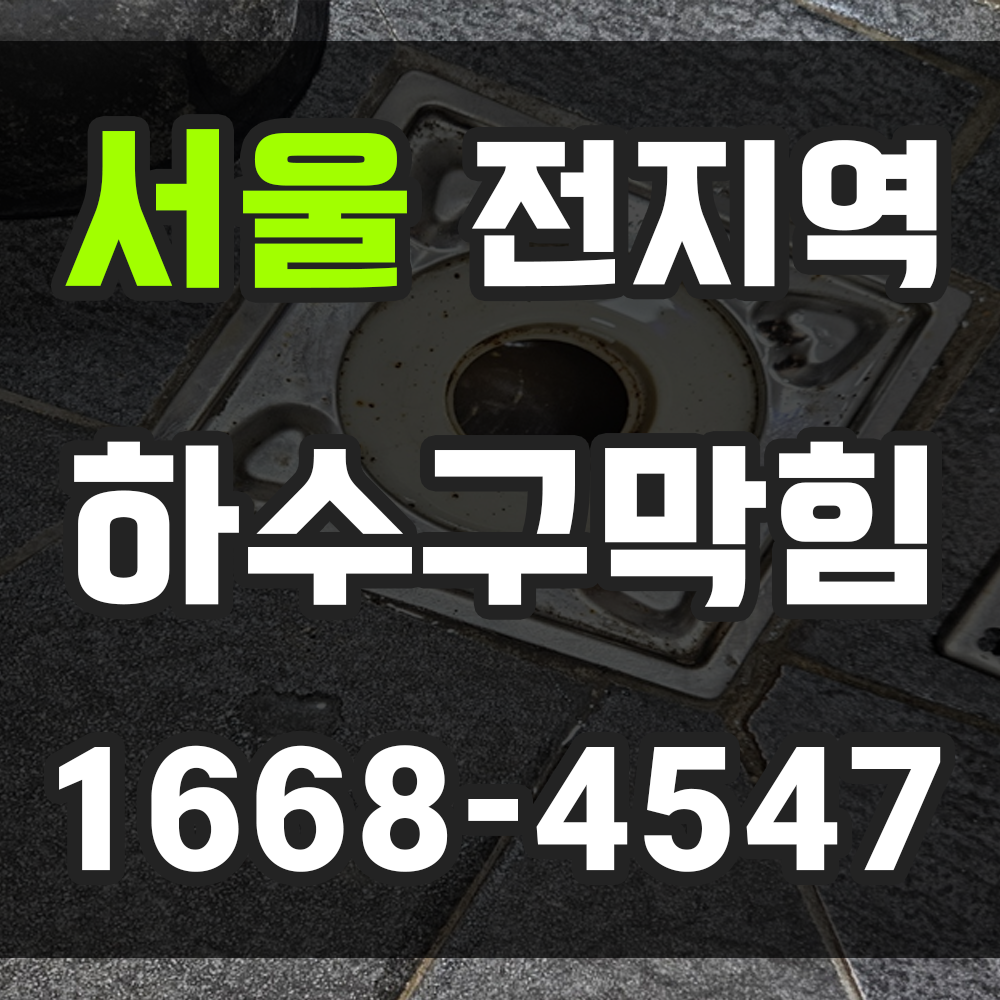 서울 하수구막힘 업체