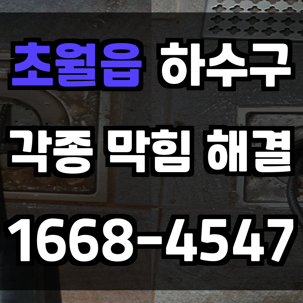 초월읍 하수구막힘 문제 발생 시 빠른 해결이 필요한 이유